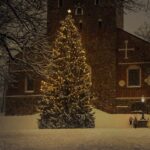 christmas tree, holiday, season-6895765.jpg